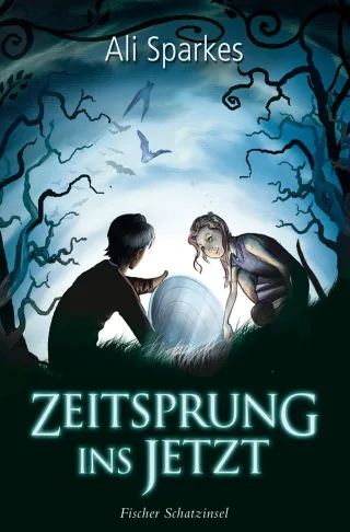 Zeitsprung ins Jetzt [Gebundene Ausgabe] [2010] Sparkes Ali Fritz Franca Koop Heinrich