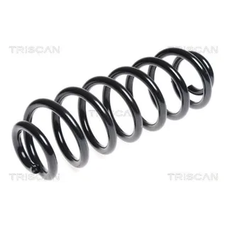 Triscan Feder hinten VW Passat Touran