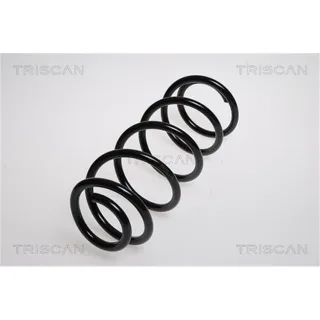 Triscan Feder vorne Peugeot 407 2,0
