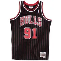 Mitchell & Ness Basketballtrikot Swingman Jersey Chicago Bulls 199596 Dennis Rodma