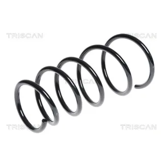 Triscan Feder vorne Opel Agila Suzuki Splash 875024145