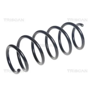 Triscan Feder vorne Ford B-Max 875016125