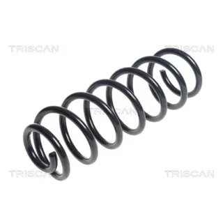 Triscan Feder hinten Renault Megane 3 875025122