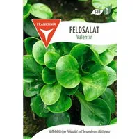 FRANKONIA Gemüsesamen Feldsalat, Valentin - Saatgut Salat-Samen Samen, Valerianella locusta