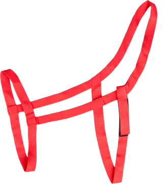 Weidehalfter