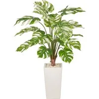 Kunstpflanze Monstera variegata, Creativ green, Höhe 120 cm, mit wunderschöner Blattgestaltung