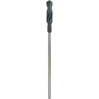 Bosch PRO Schalungs- und Installationsbohrer - 2608597168