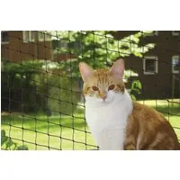 Nobby Schutznetz Nobby Katzenschutznetz schwarz Größe M 4 x 3 m