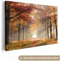 OneMillionCanvasses® Leinwandbild Herbst - Wald - Baum, Fotodruck (1 St), Leinwand Bilder Klein, Wand Dekoration Aesthetic 30x20 cm