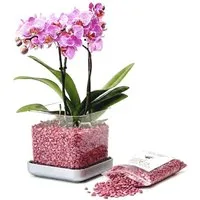 colomi Blumentopf ColomiCare Orchideentopf transparent + 1 L Orchideengranulat – Set (Spar-Set, 1x Orchideentopf 1x 1Liter Orchideengranulat)