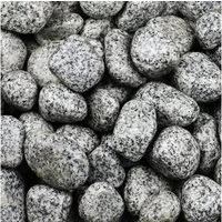 GarPet Dekokies Kieselsteine Garten Zierkies 25Kg Gletscherkies Saunastein Dekostein