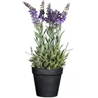 Künstliche Zimmerpflanze Topfpflanzen Lavendel, Gasper, Höhe 33 cm, im Topf, Lila, Lavendel, H: 33cm