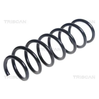 Triscan Feder hinten BMW 5er F10 875011154