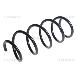 Triscan Feder vorne Ford Fiesta 6 1,6 Tdci
