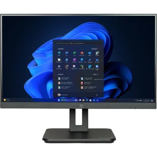TERRA ALL-IN-ONE-PC 2420HA GREENLINE | 1000141 | All-in-One (Komplettlösung)