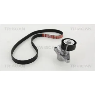 Triscan Keilrippenriemensatz Citroen C2 C3 C4 Peugeot 1007 207 207/207+ 307