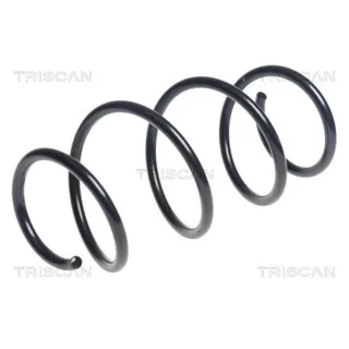 Triscan Feder vorne BMW 1er 2er 3er 875011191