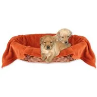 Bestlivings Tierdecke Hundedecke / Katzendecke, Kuscheldecke für Haustiere, Schlafplatz/-decke, versch. Variationen
