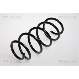 Triscan Feder vorne Opel Signum Vectra C 875024075