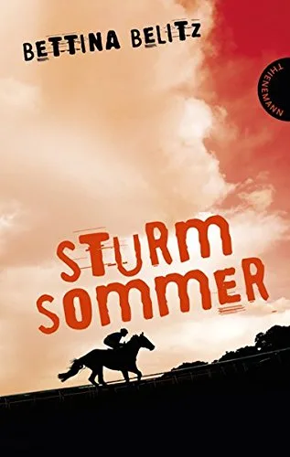 Sturmsommer [Broschiert] [2010] Bettina Belitz