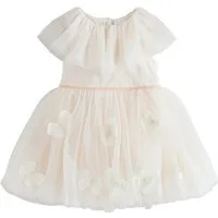 Next Tüllkleid Mesh-Kleid mit Rüschenkragen (1-tlg)