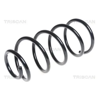 Triscan Feder vorne Ford C-Max 875016094