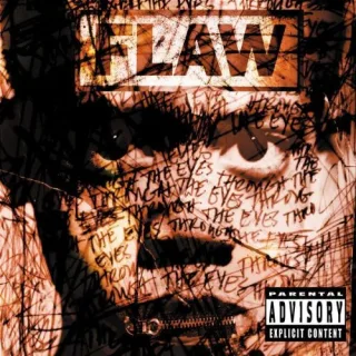 Through the Eyes [Audio CD] Flaw