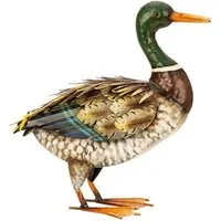 Geschenkestadl Tierfigur Ente Metall steht 35cm Tierfigur Bauernhof Hof Garten Teich Dekoration (1 St)