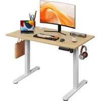DEVAISE Schreibtisch Höhenverstellbarer Schreibtisch elektrisch 100×60 cm (Höhenverstellung 72–118 cm, Memory-Funktion für 3 Höhen, leise