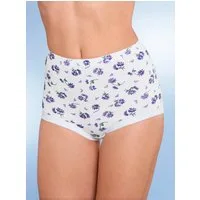 Witt Slip Taillenslip (5-St)