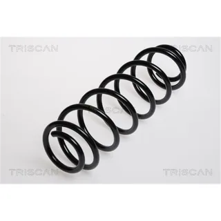 Triscan Feder hinten Seat Arosa VW Lupo
