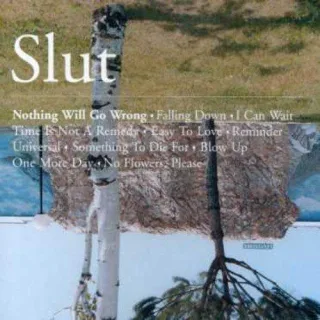 Nothing Will Go Wrong [Audio CD] Slut