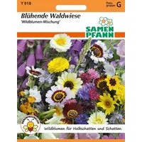 SAMEN PFANN Blumensamen Blühende Waldwiese - Blumenmischung Saatgut Samen