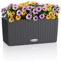 Lechuza® Balkonkasten Balconera Cottage 40 granit