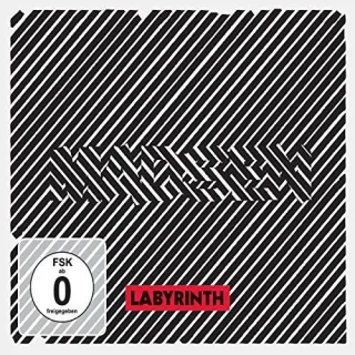 Labyrinth (Ltd.Del.Edition)
