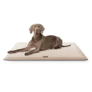 Knuffelwuff kuschelige Hundematte Calliope aus Teddy Material beige XXL