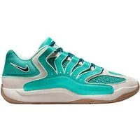 Nike Nike Performance KD18 Wanda Herren Hallenschuh