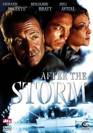 After the Storm [DVD] [2002]