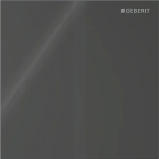 Geberit Ersatzteile Typ 40 Abdeckplatte, eckig für Urinalsteuerung Infrarot, schwarz, 246121SJ1 246121SJ1