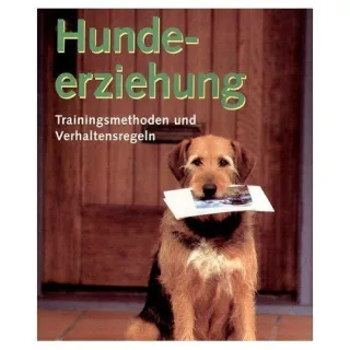 Hundeerziehung