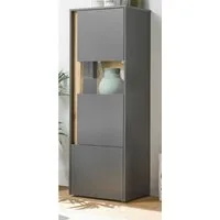 Furn.Design Standvitrine Center (Vitrinenschrank in Grau mit Eiche, 50 x 155 cm) 2-türig