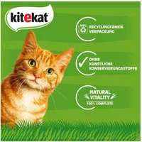 Kitekat KITEKAT™ Portionsbeutel Multipack Bunte Vielfalt in Sauce 4 x 12 x 85g, für: Katze