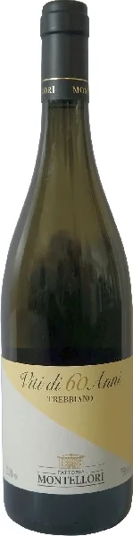 Fattoria Montellori Trebbiano Viti di 60 Anni Toscana Bianco IGT Jg. 2