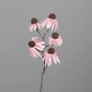 Kunstblume Sonnenhut