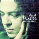 The David Torn Collection