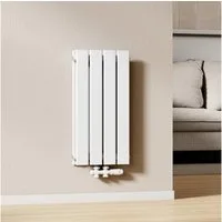 EMKE Heizkörper Anthrazit/Weiß Doppellagig Flach Design Paneelheizkörper Breite: 30cm, Vertikal, Mittelanschluss, 384W für 4qm Raum