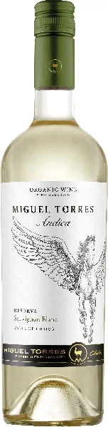 Miguel Torres. Andica Sauvignon Blanc Reserva Jg. 2024