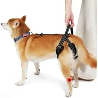 Ledander Stützbandage Hundegeschirr mit Hinterbeinstütze, reflektierendes Hundegeschirr, Hinterbeinstütze, Gelenkverletzungen, Arthritis, ACL-Rehabilitation