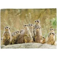 Handtücher Handtuch Strandhandtuch Saunatuch Kuscheldecke mit Tiermotiv Erdmännchen Famili, Baumwolle-Polyester-Mix (1-St), Handtuch