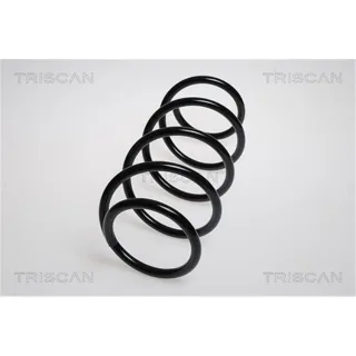 Triscan Feder vorne Renault Grand Sc?nic 87502564